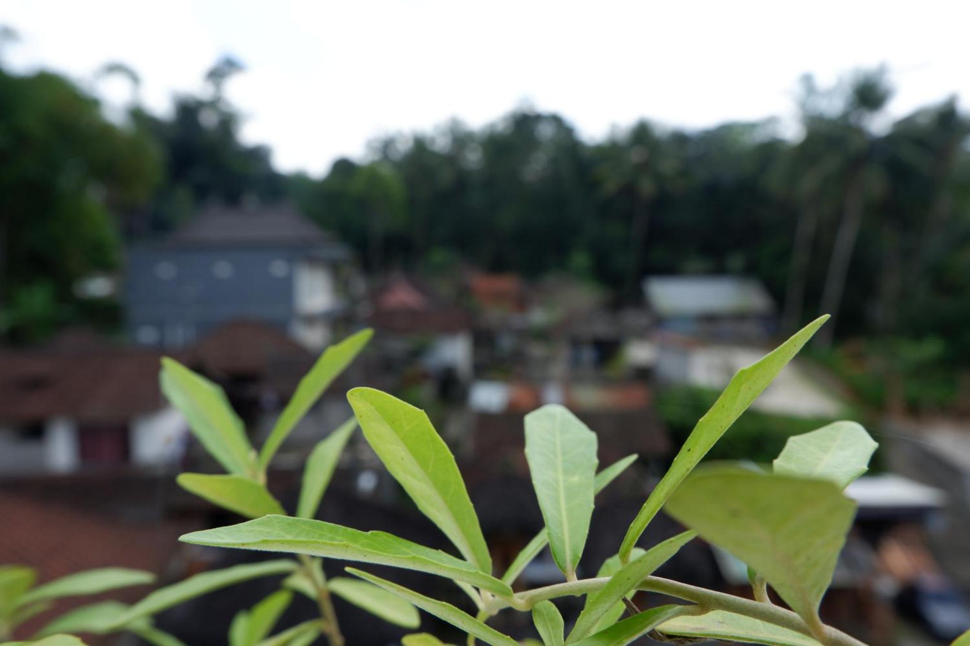 Ramaya Ubud View By Eps Eksteriør bilde